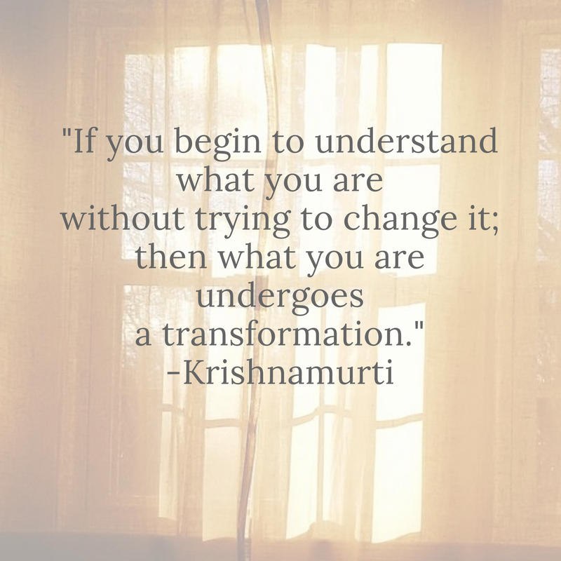 Window light Baltimore